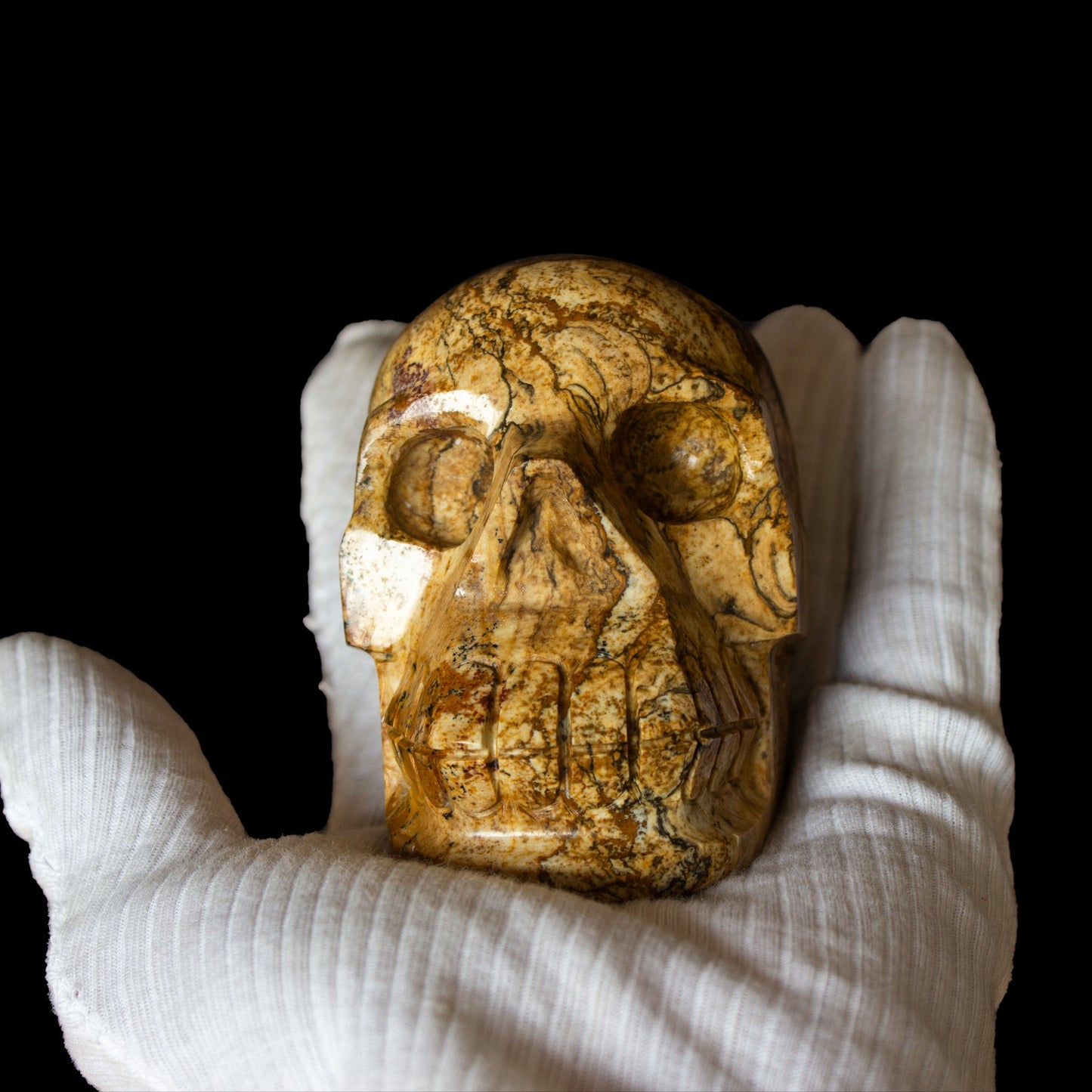 Picture Jasper Skull